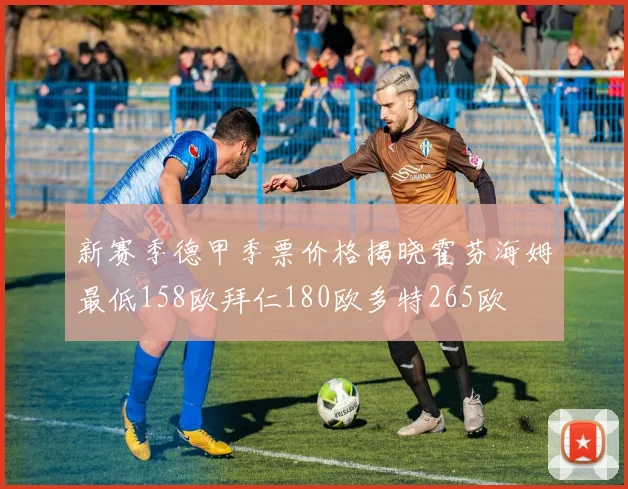 新赛季德甲季票价格揭晓霍芬海姆最低158欧拜仁180欧多特265欧